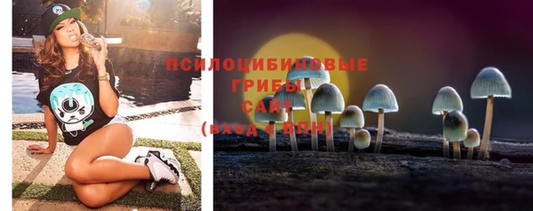 apvp Михайловка