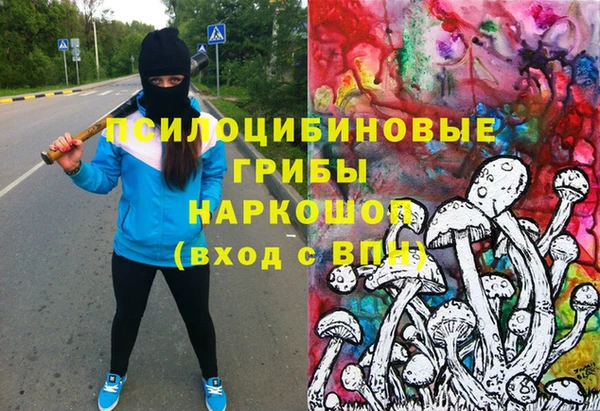 ECSTASY Медногорск
